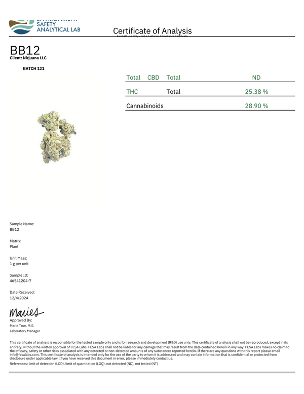 BB12 - Hybrid - 29%