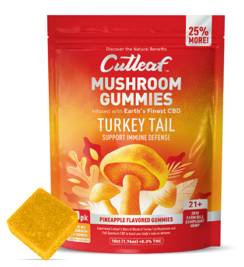 Mushroom Gummies - Turkey Tail:CBD:THC - Pineapple