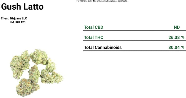 Gush Latto - Sativa - 29.8%THCa