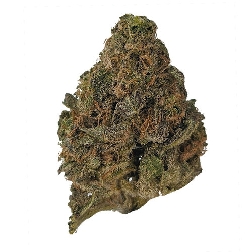 Lemon Ak - Sativa